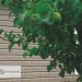 Сайдинг Ю-Пласт TIMBERBLOCK Пихта (Тимберблок) Cахалинская купить в Зеленограде